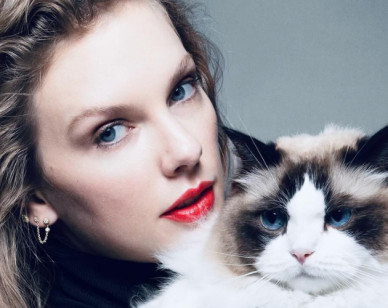 Do Celebrity Endorsements Really Work?